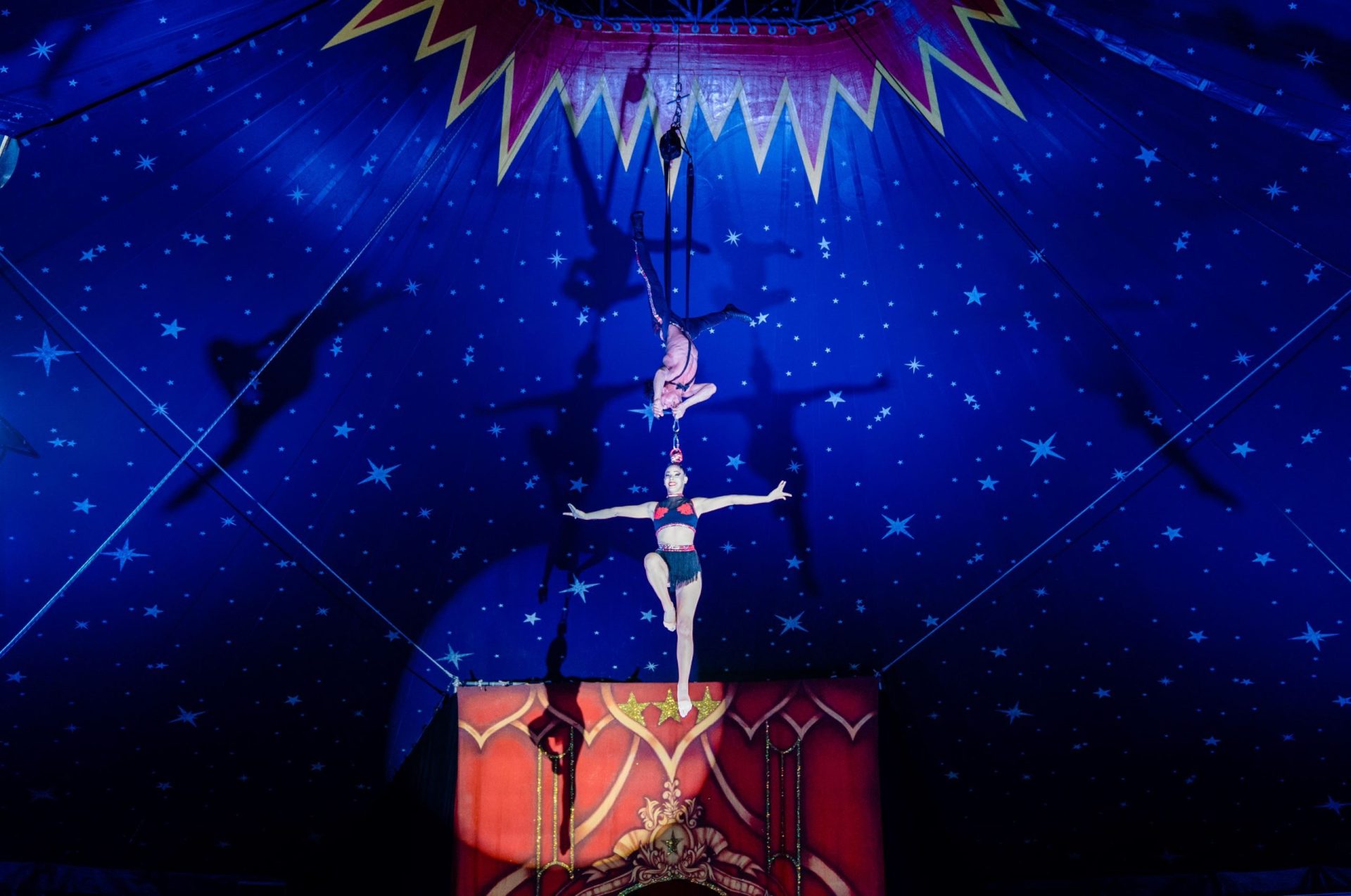 Circus Starr Virtual Event