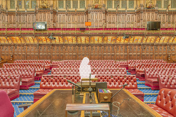 House of Lords Leader Position Virtual Experience